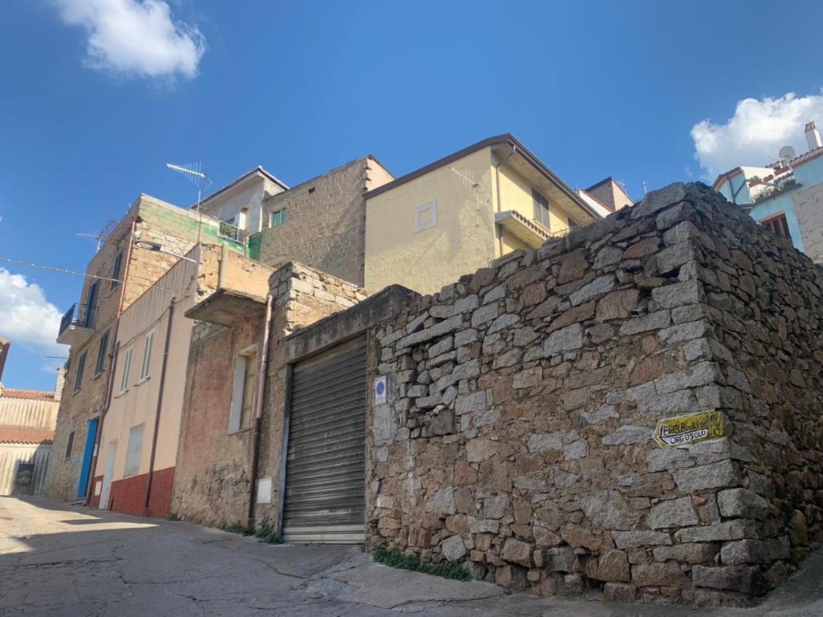 Orgosolo B&B Sardegna Kültér fotó