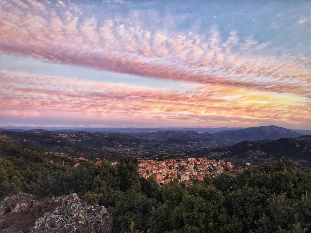 Orgosolo B&B Sardegna Kültér fotó