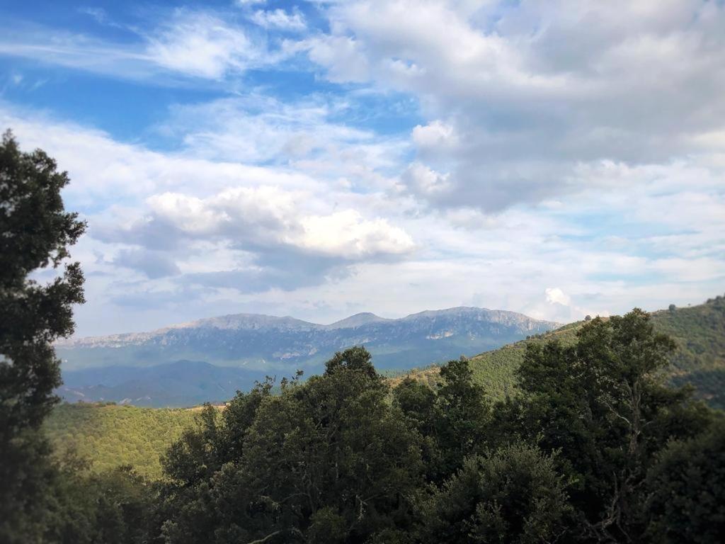 Orgosolo B&B Sardegna Kültér fotó